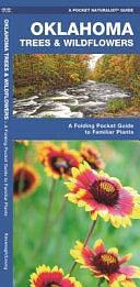 Missouri Trees and Wildflowers: An Introduction to Familiar Species by James Kavanagh, Waterford Press