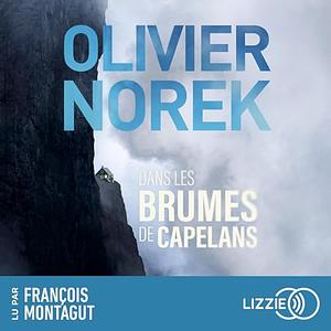 Dans les brumes de Capelans by Olivier Norek