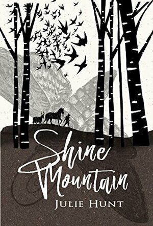 Shine Mountain by Julie Hunt