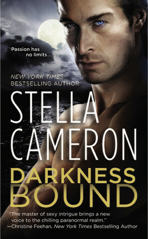 Darkness Bound by Stella Cameron