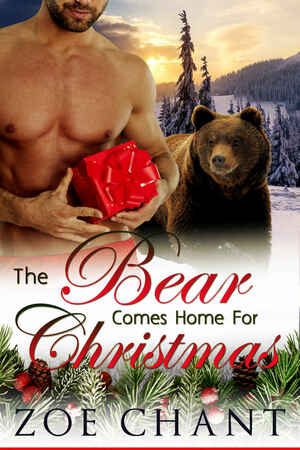 The Bear Comes Home For Christmas by Zoe Chant
