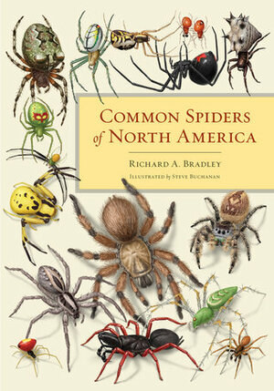Common Spiders of North America by Richard Alan Bradley