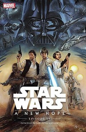 Star Wars: Episode IV: A New Hope by Roy Thomas, Howard Chaykin