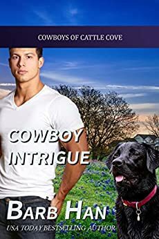 Cowboy Intrigue by Barb Han