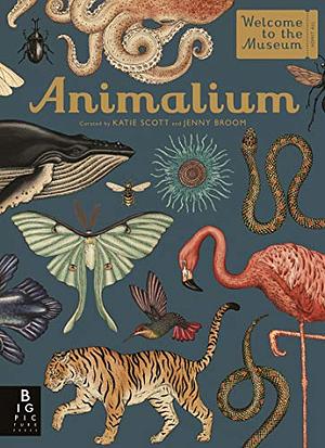 Animalium by Jenny Broom, Katie Scott