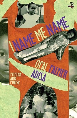 I Name Me Name by Opal Palmer Adisa