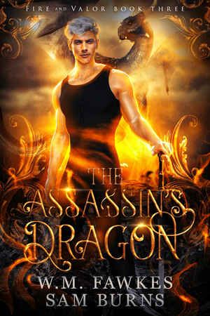 The Assassin's Dragon by W.M. Fawkes, Sam Burns