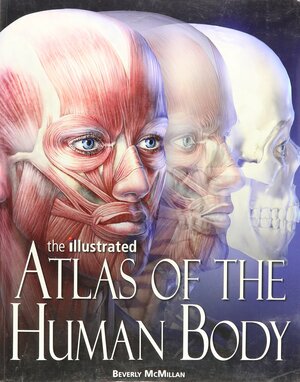 The Illustrated Atlas Of The Human Body by Beverly McMillan