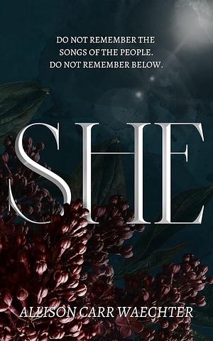 SHE: A story from below by Allison Carr Waechter