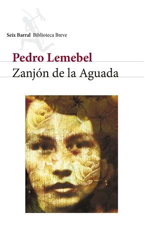 Zanjón de la Aguada by Pedro Lemebel