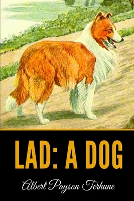 Lad: A Dog by Albert Payson Terhune