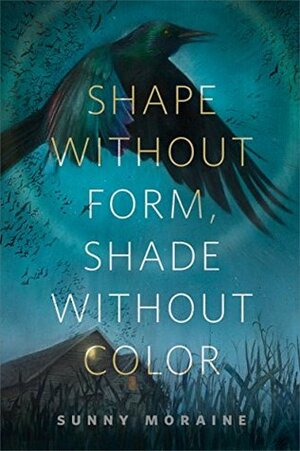 Shape Without Form, Shade Without Color by Sunny Moraine
