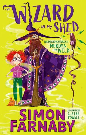 The Wizard In My Shed by Simon Farnaby