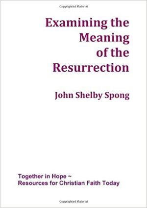 Examining the Meaning of the Resurrection by Adrian Alker, John Shelby Spong