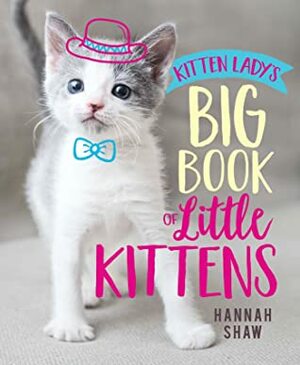 Kitten Lady's Big Book of Little Kittens by Hannah Shaw