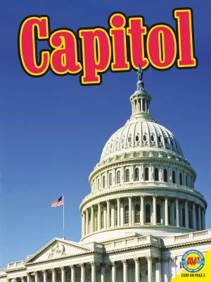 Capitol by Lyn Sirota