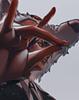 brynnefrost's profile picture