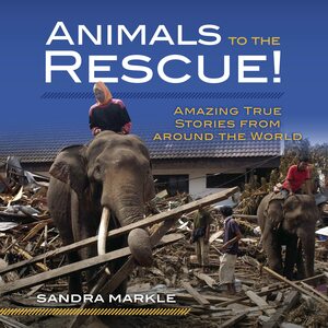 Animals to the Rescue!: Amazing True Stories from Around the World by Sandra Markle