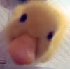 elfianna's profile picture