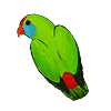 rubiscodisco's profile picture
