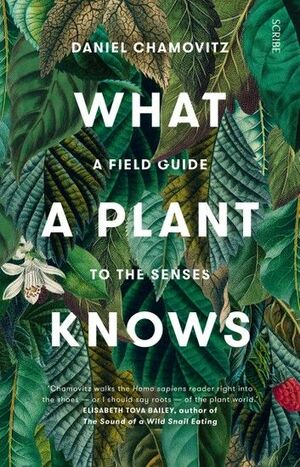 What a Plant Knows: A Field Guide to the Senses by Daniel Chamovitz