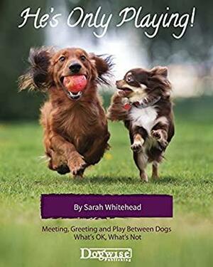 He's Only Playing! Meeting, Greeting and Play Between Dogs. What's OK, What's Not by Sarah Whitehead