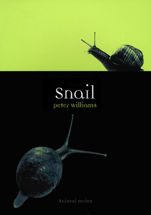 Snail by Peter Williams