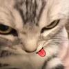 4shinig's profile picture
