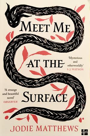 Meet Me at the Surface by Jodie Matthews