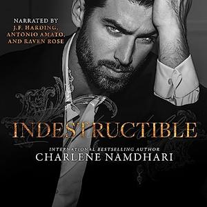 Indestructible by Charlene Namdhari