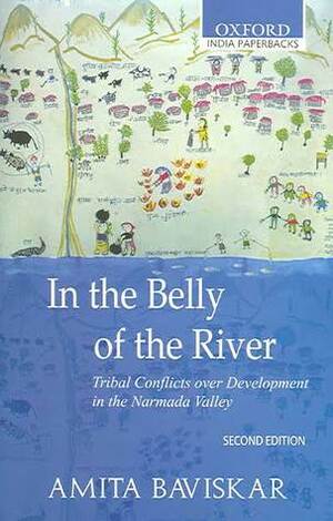 In the Belly of the River by Amita Baviskar