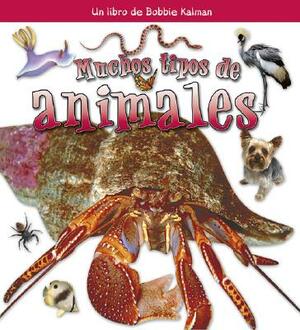 Muchos Tipos de Animales by Molly Aloian, Bobbie Kalman