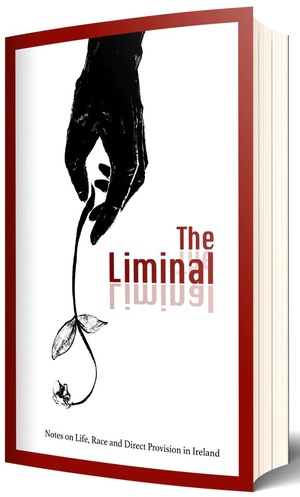The Liminal: Notes on Life, Race and Direct Provision in Ireland  by Fiadh Melina