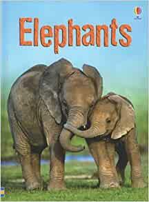 Elephants by James MacLaine