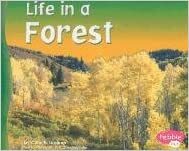 Life in a Forest by Carol K. Lindeen