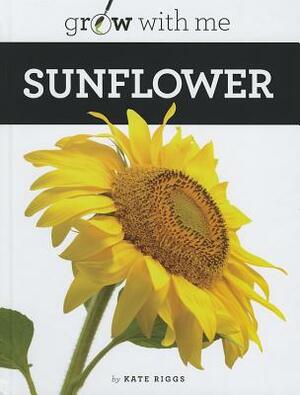 Sunflower by Kate Riggs