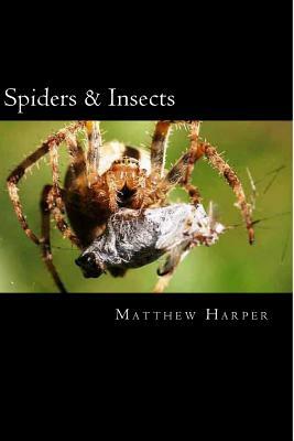Spiders & Insects: Two Fascinating Books Combined Together Containing Facts, Trivia, Images & Memory Recall Quiz: Suitable for Adults & C by Matthew Harper