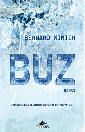 Buz by Bernard Minier