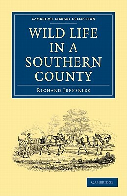 Wild Life in a Southern County by Richard Jefferies