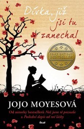 Dívka, již jsi tu zanechal by Jojo Moyes, Lucie Mikolajková