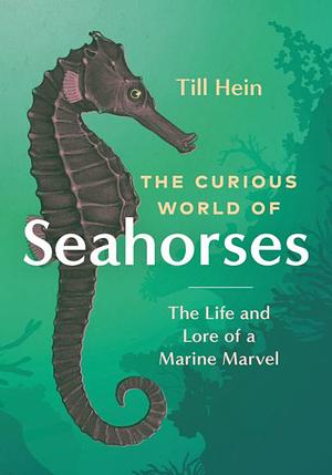 The Curious Wolf of Seahorses by Till Hein