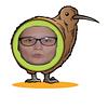 vikiskiwis's profile picture