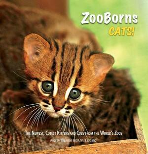 ZooBorns Cats!: The Newest, Cutest Kittens and Cubs from the World's Zoos by Andrew Bleiman, Chris Eastland