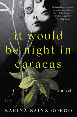 It Would Be Night in Caracas by Karina Sainz Borgo