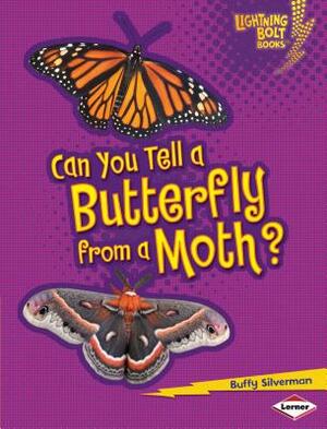 Can You Tell a Butterfly from a Moth? by Buffy Silverman