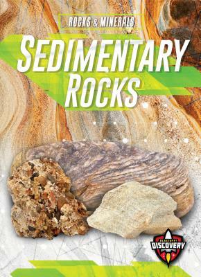 Sedimentary Rocks by Jennifer Fretland VanVoorst