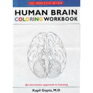 Human Brain Coloring Workbook by Kapil Gupta