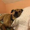 lfelschow's profile picture