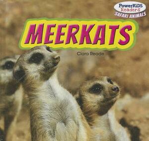 Meerkats by Clara Reade