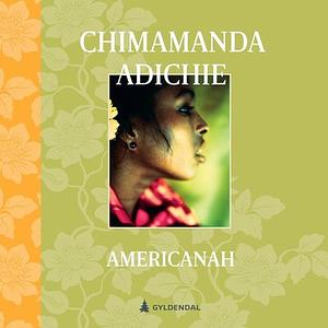 Americanah by Chimamanda Ngozi Adichie